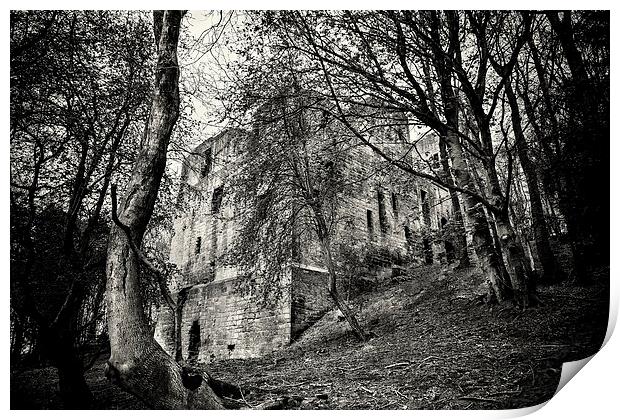 Harewood Castle Print by David Hare