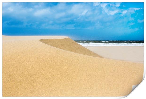  Sand Dunes Print by David Hare