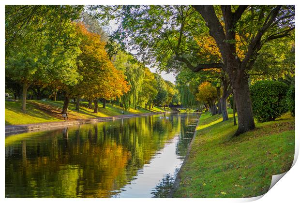 Military Canal in Autumn Print by David Hare