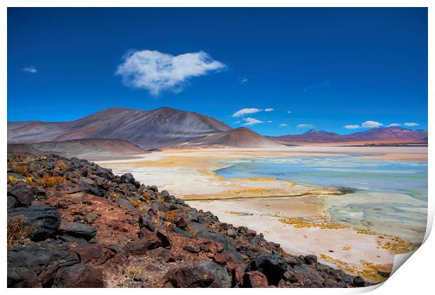 Atacama Salt lake Print by David Hare