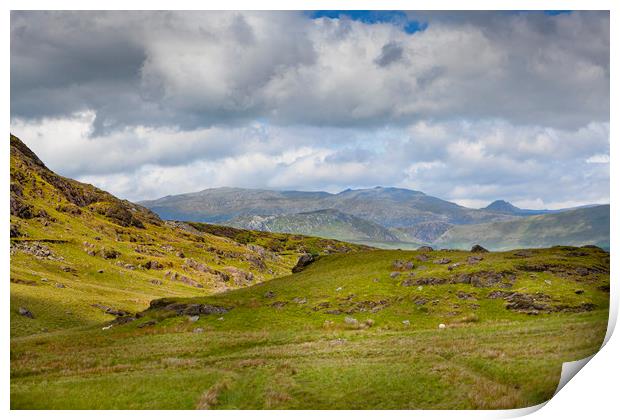 Welsh Countryside Print by David Hare