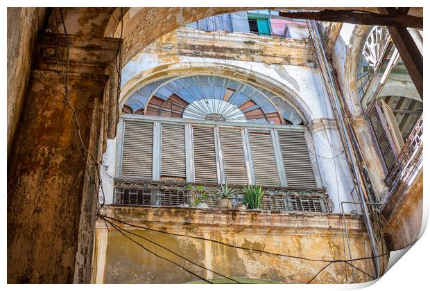  Windows of Havana Print by David Hare
