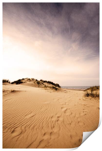 Race you to the sea! Holkham, Norfolk Print by Sarah Partridge