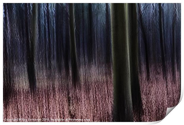 Enchanted Forest Print by Roy Scrivener