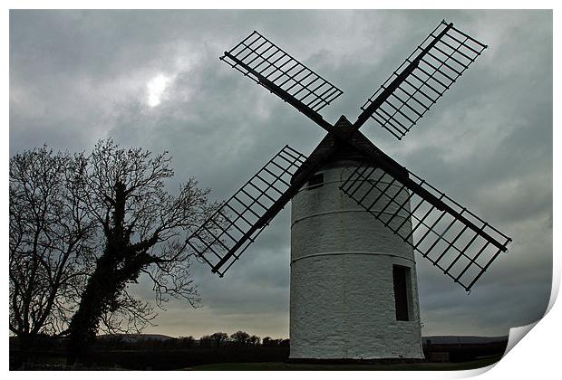Ashton Windmill Print by Roy Scrivener