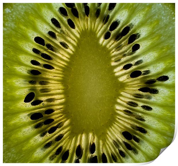 KIWI FRUIT Print by Gypsyofthesky Photography