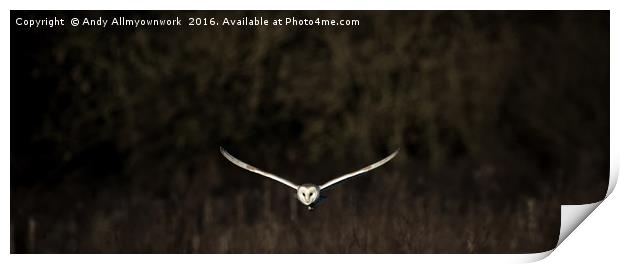 Barn Owl at Dusk  Print by Gypsyofthesky Photography