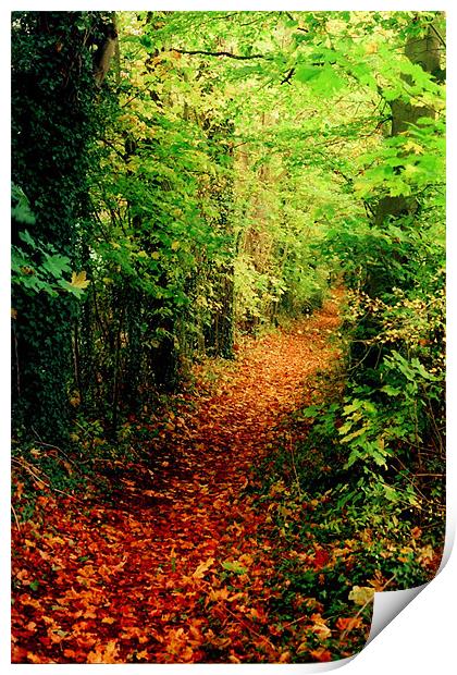 The Autumn Road Print by Simon Joshua Peel