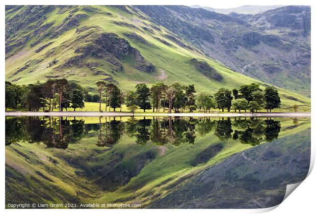 Trees and mountainside reflected in the surface of Buttermere la Print by Liam Grant