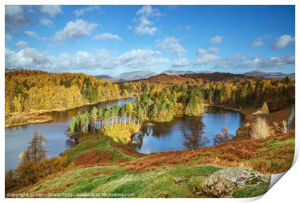 Sunlight over Tarn Hows with Helvellyn beyond. Print by Liam Grant