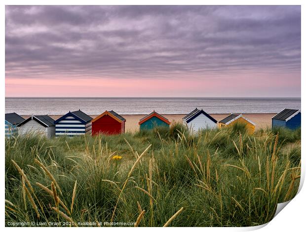 UK, Suffolk, Southwold, colourful beach huts in the dunes at sunrise Print by Liam Grant