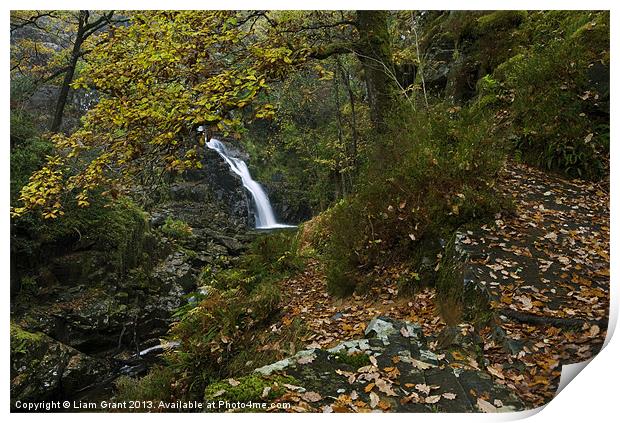 Pistyll y Cain Falls/North Wales Print by Liam Grant