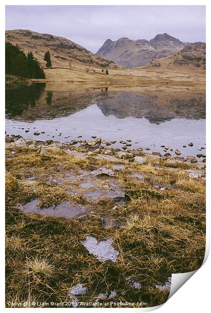 Frozen Blea Tarn and Langdale Pikes. Lake District Print by Liam Grant