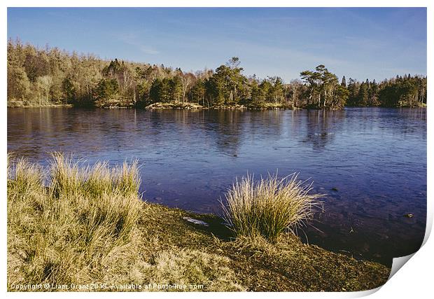 Frozen surface. Tarn Hows, Lake District, Cumbria, Print by Liam Grant