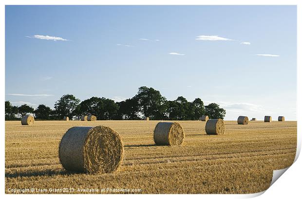 Evening light over round bales of straw in a recen Print by Liam Grant