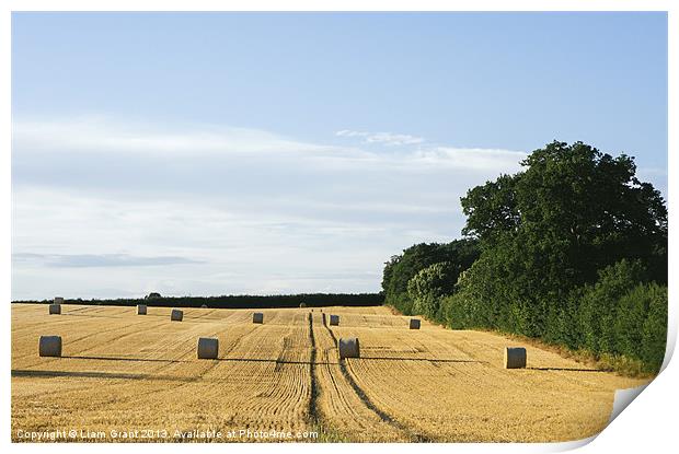 Evening light over round bales of straw in a recen Print by Liam Grant