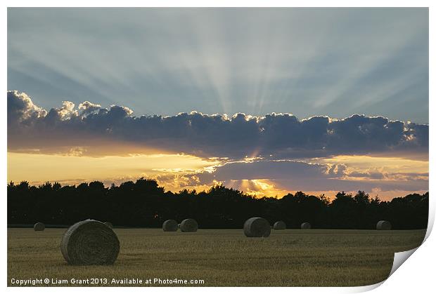 Field of round straw bales at sunset. Print by Liam Grant