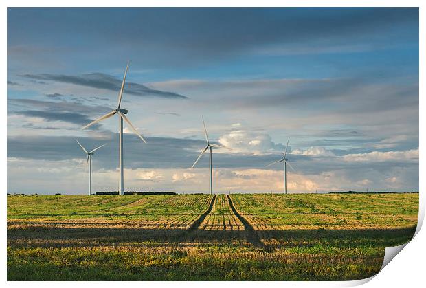 Wind turbines on a Windfarm at sunset. Print by Liam Grant