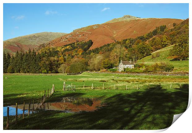 Cottage and flooded field at Grasmere. Print by Liam Grant