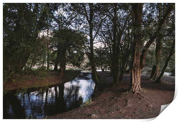 Weir in woodland. Print by Liam Grant