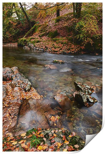 Autumnal trees and leaves along the River Esk. Esk Print by Liam Grant