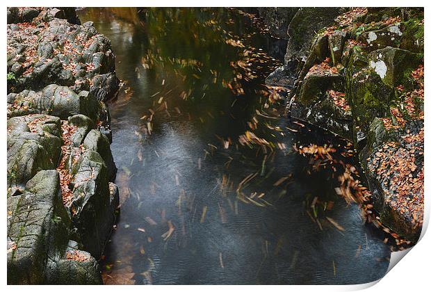 Autumnal leaves along the River Esk. Eskdale, Cumb Print by Liam Grant