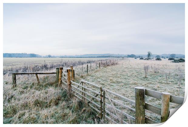 Rural field and gate covered in frost. Norfolk, UK Print by Liam Grant