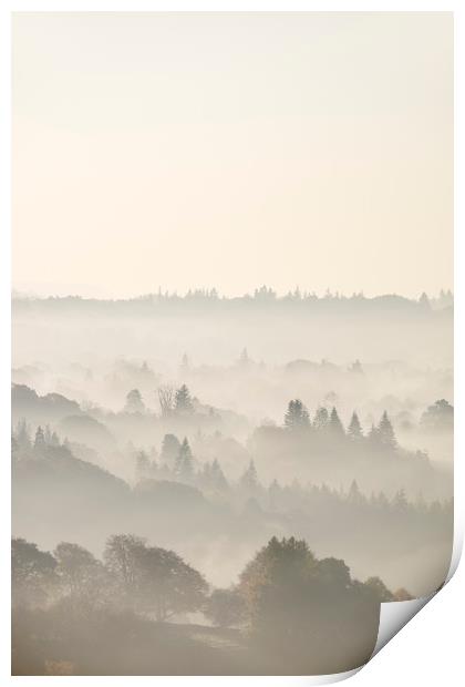 Layers of fog in the valley at sunrise. Troutbeck, Print by Liam Grant