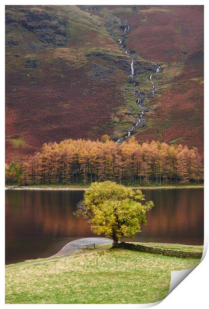 Autumnal colour. Buttermere, Cumbria, UK. Print by Liam Grant