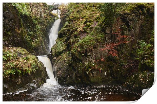 Aira Force waterfall. Cumbria, UK. Print by Liam Grant