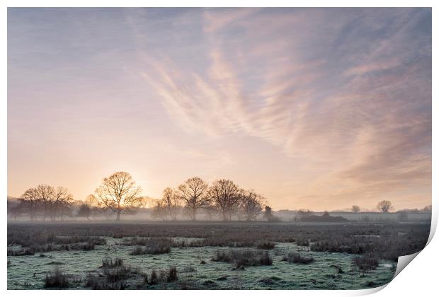 Sunrise and mist on a frosty morning. Norfolk, UK. Print by Liam Grant