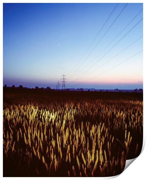 Wheat field and electricity pylon lit by torch lig Print by Liam Grant