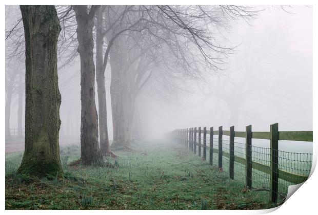 Fence beside an avenue of trees in fog. Norfolk, U Print by Liam Grant