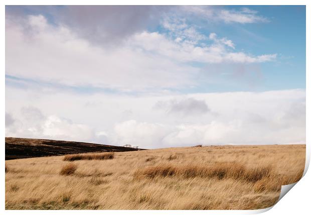 Sunlight over moorland. Derbyshire, UK. Print by Liam Grant