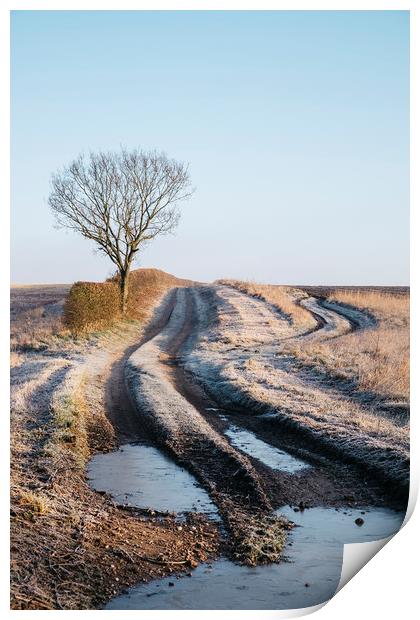 Tree, hedge and frost covered track beside a field Print by Liam Grant