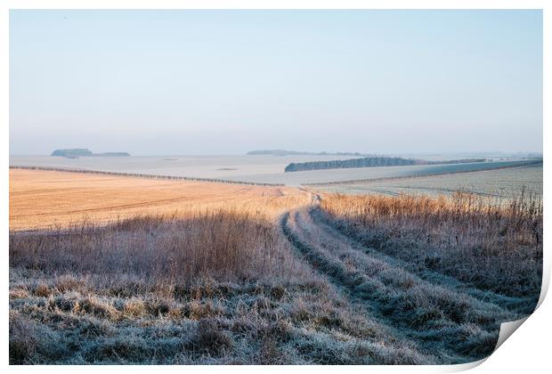 Frost covered track through fields at sunrise. Nor Print by Liam Grant