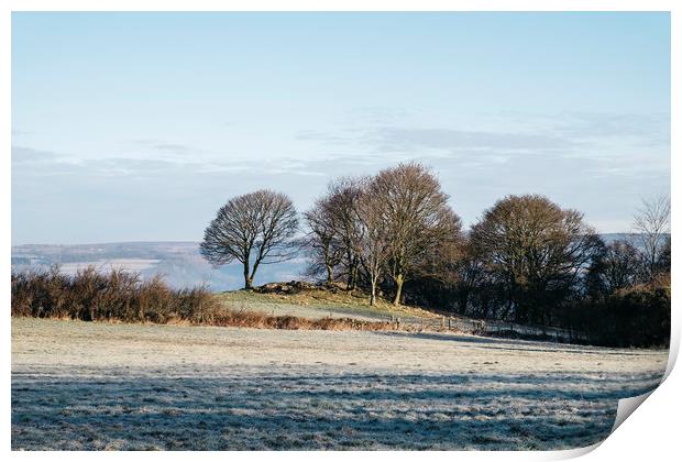 Trees and frost covered field in morning light. De Print by Liam Grant