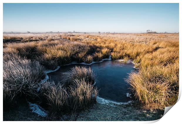 Frozen water and reeds lit by the sunrise. Beeley  Print by Liam Grant