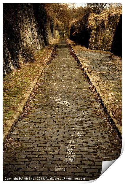 Cobbles Print by Anth Short