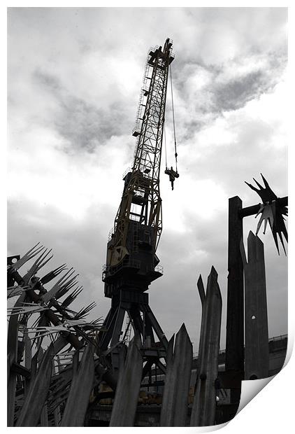 Cranes Print by Anth Short