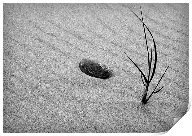 SAND GRASS Print by Anthony R Dudley (LRPS)