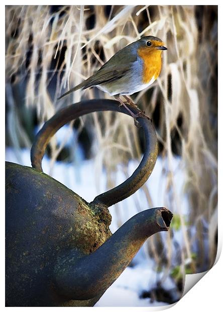 ROBIN AND KETTLE Print by Anthony R Dudley (LRPS)