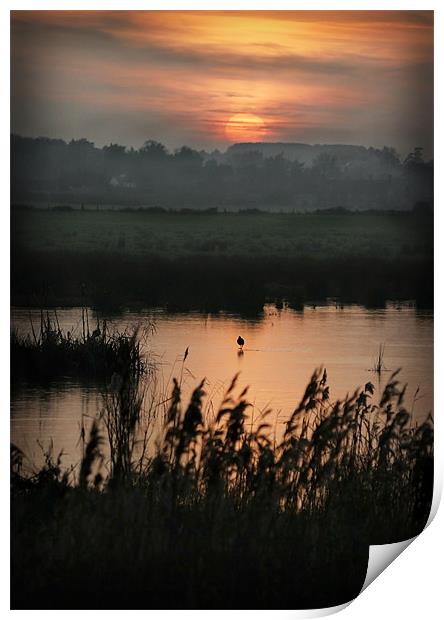 NORFOLK SUNSET Print by Anthony R Dudley (LRPS)