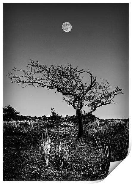 FULL MOON OVER EXMOOR Print by Anthony R Dudley (LRPS)