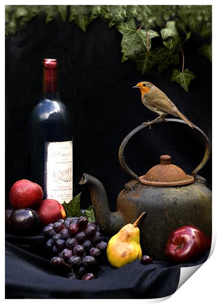 ROBIN STILL LIFE Print by Anthony R Dudley (LRPS)