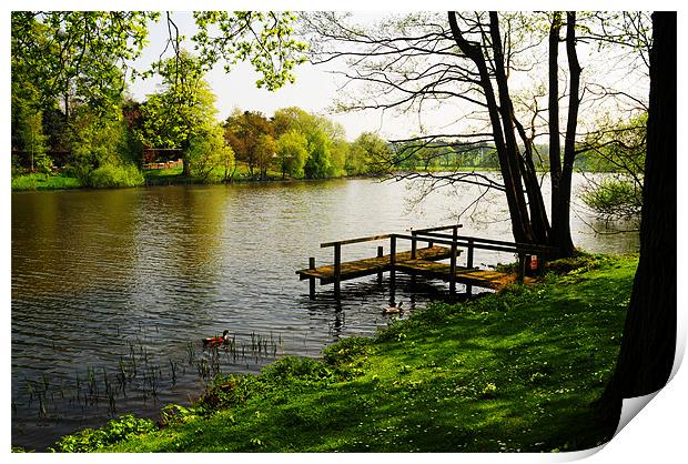 The Lake Print by stephen walton