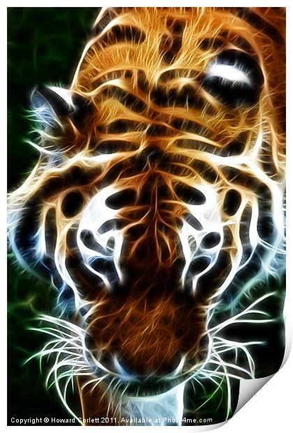 Tiger, tiger, burning bright Print by Howard Corlett