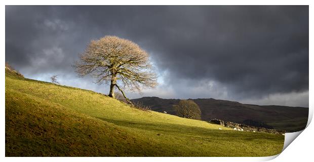 The lone tree Print by Simon Wrigglesworth