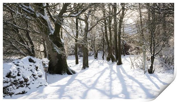 Winter Shadows Print by Simon Wrigglesworth