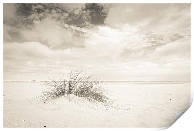 Lone Dune Print by Simon Wrigglesworth